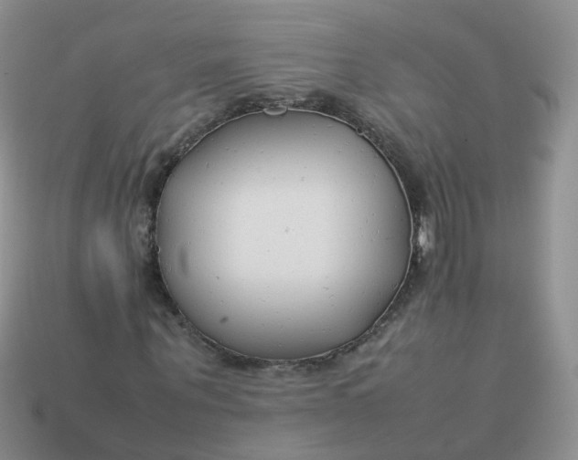 X0000113750867200910141024