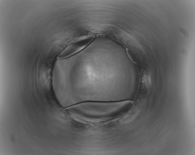 X0000113750868200910141024