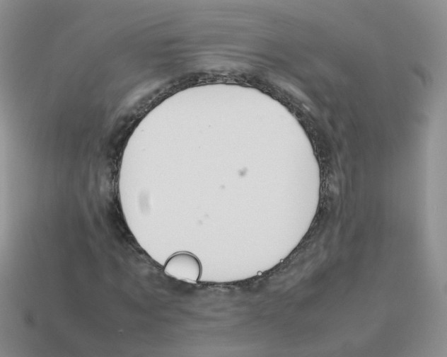 X0000113750869200910141024