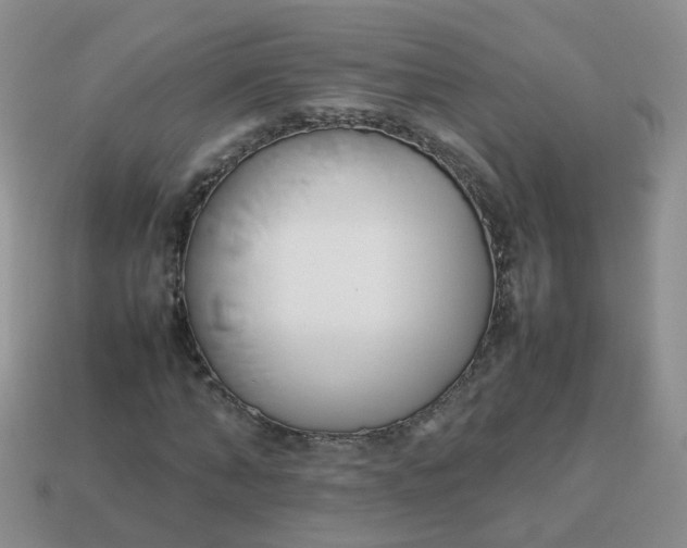 X0000113750870200910141024