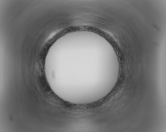 X0000113750871200910141024