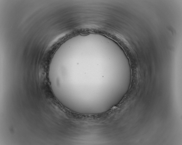 X0000113750872200910141024