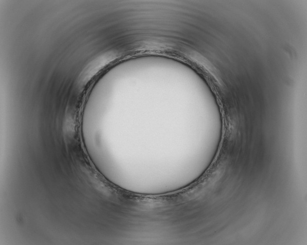 X0000113750874200910141024