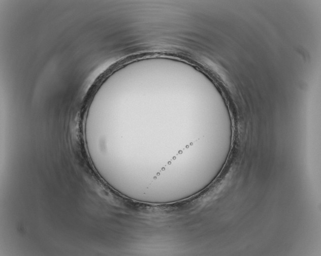 X0000113750875200910141024