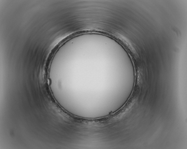 X0000113750876200910141024