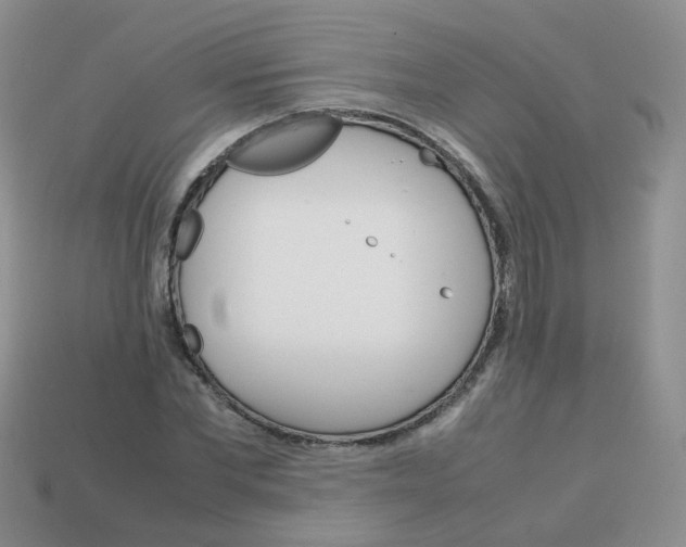 X0000113750877200910141024