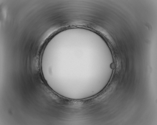 X0000113750878200910141024