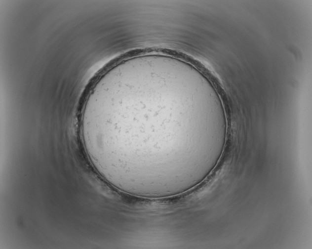 X0000113750879200910141024