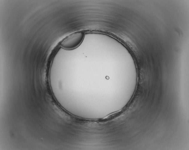 X0000113750880200910141024