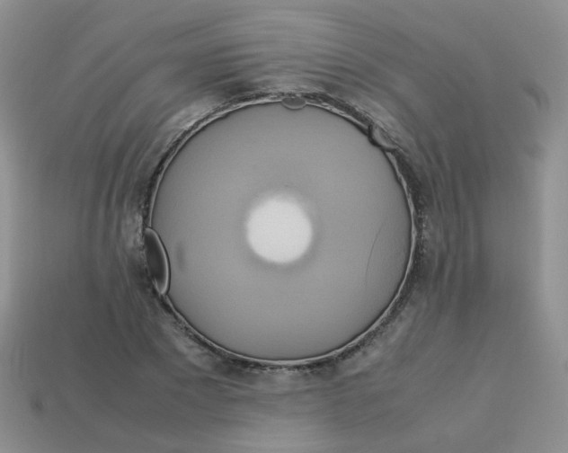 X0000113750881200910141024