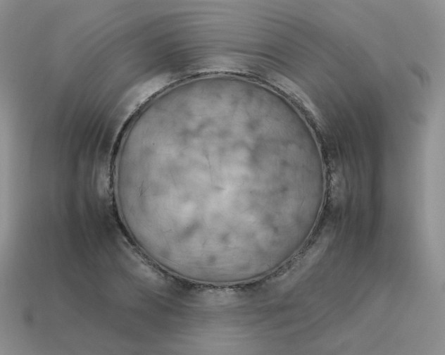 X0000113750882200910141024