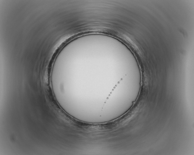 X0000113750883200910141023