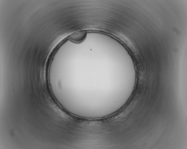 X0000113750884200910141023