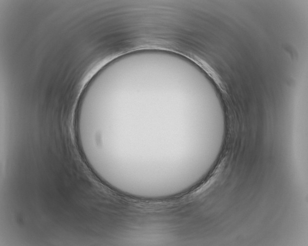 X0000113750885200910141023