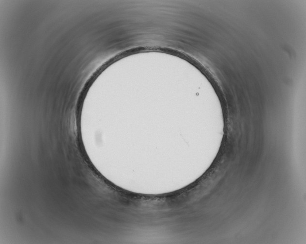 X0000113750887200910141023