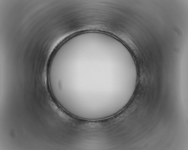 X0000113750888200910141023