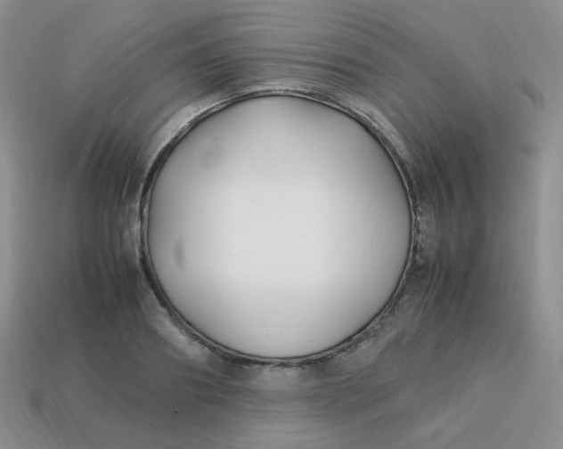 X0000113750890200910141023