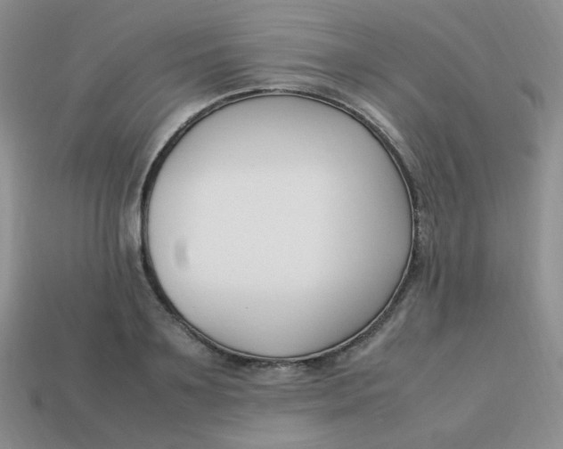 X0000113750891200910141023