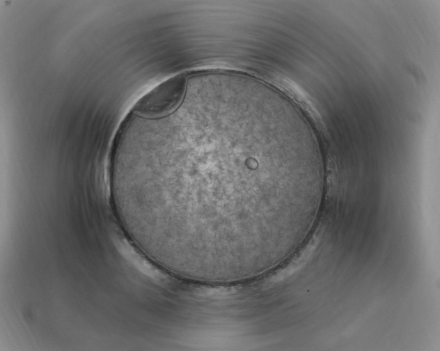 X0000113750892200910141023