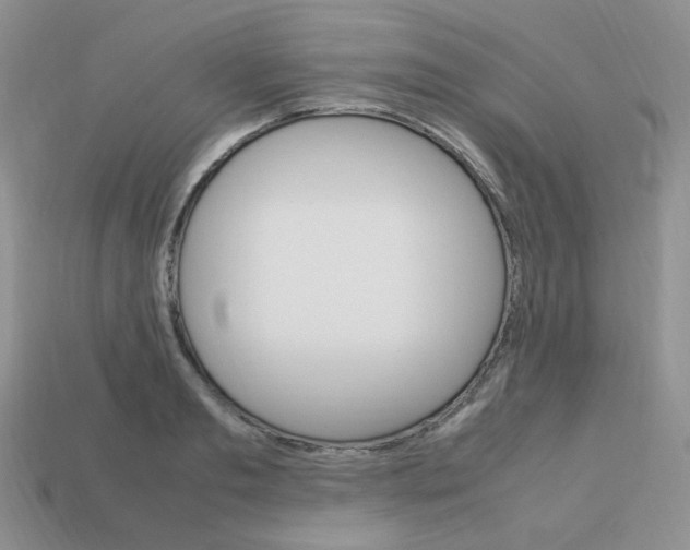 X0000113750893200910141023