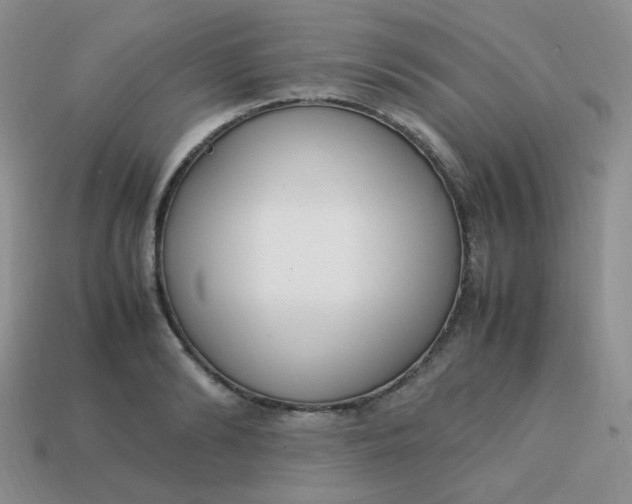 X0000113750894200910141023