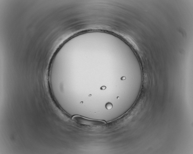 X0000113750895200910141023