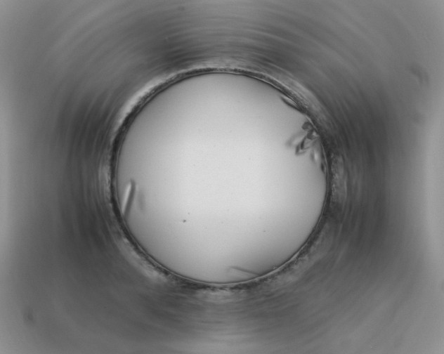 X0000113750896200910141023