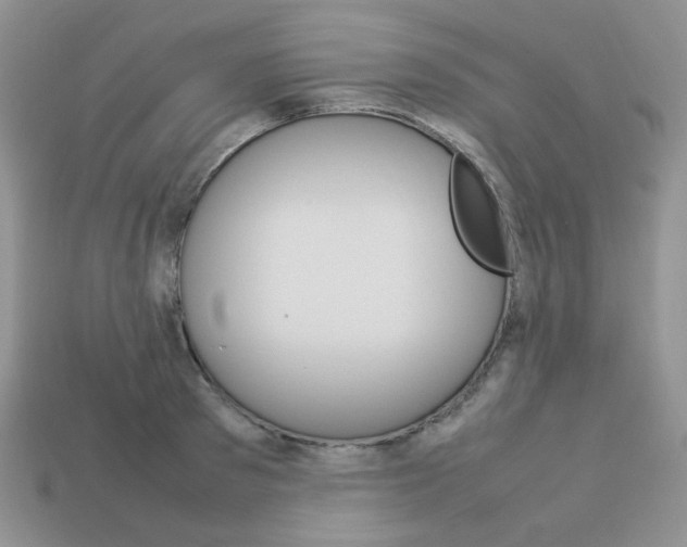 X0000113750897200910141023