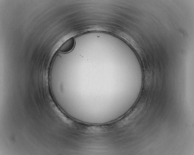 X0000113750898200910141023