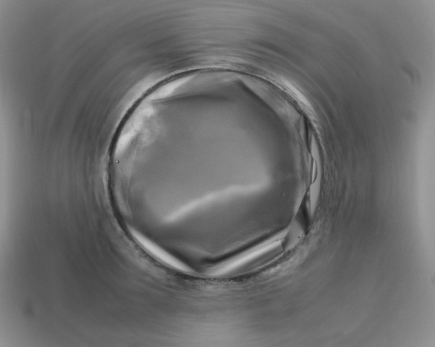 X0000113750899200910141023