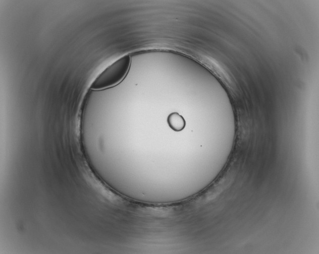 X0000113750900200910141023