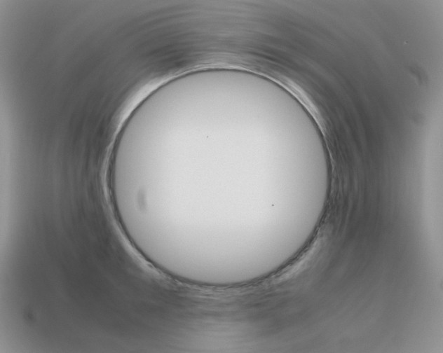 X0000113750901200910141023