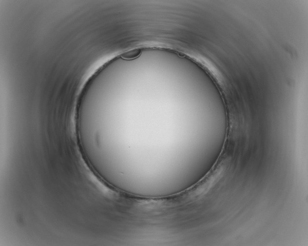 X0000113750902200910141023