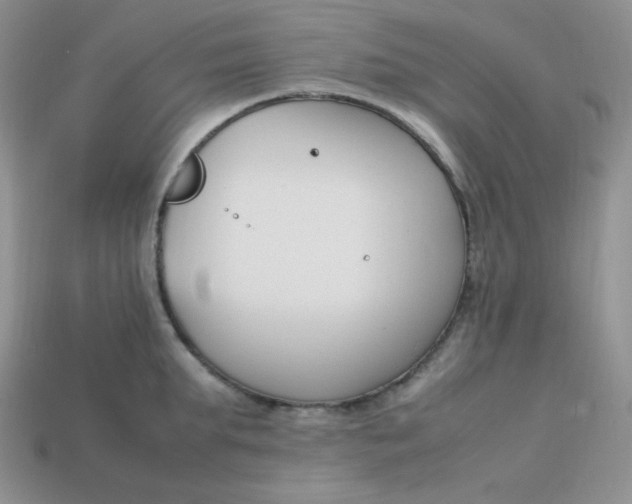 X0000113750903200910141023