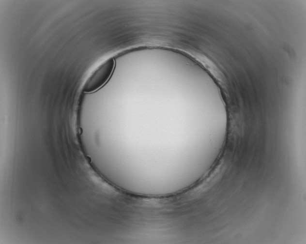 X0000113750904200910141023