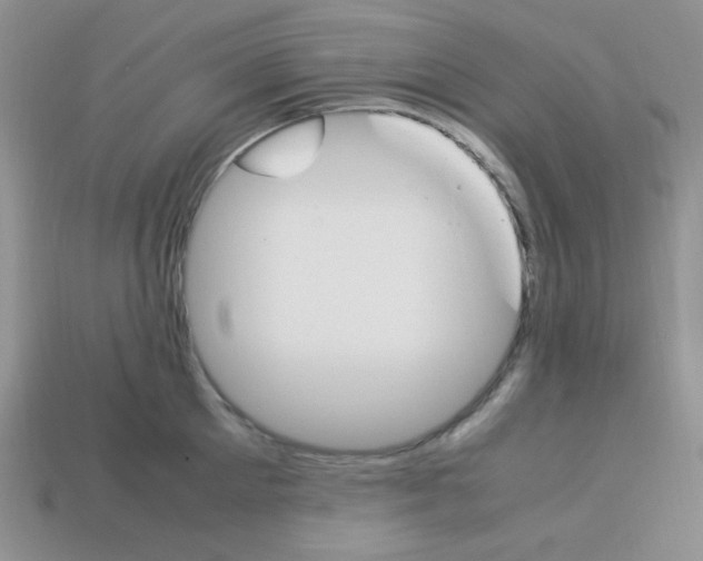 X0000113750905200910141023