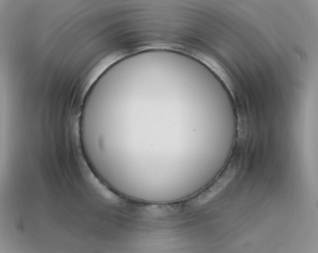 X0000113750906200910141023