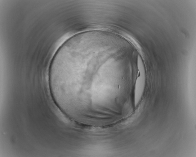 X0000113750907200910141023