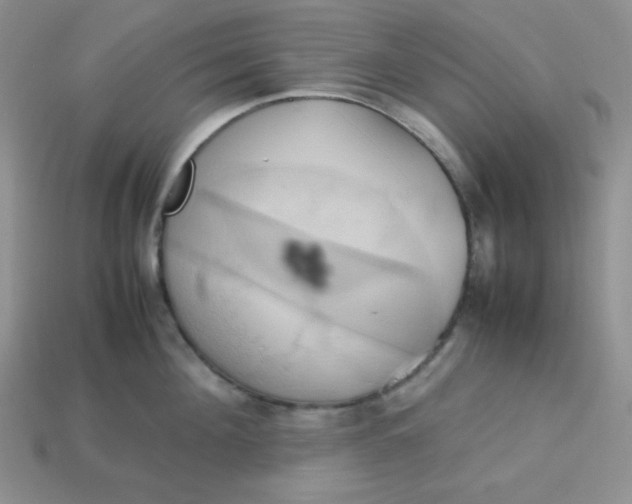 X0000113750908200910141023