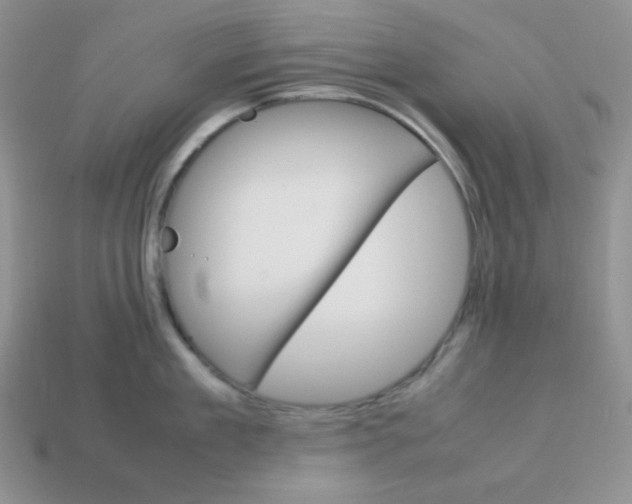 X0000113750909200910141023