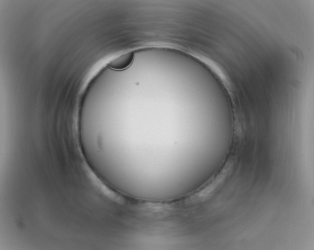 X0000113750910200910141023