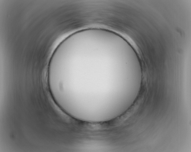 X0000113750911200910141023