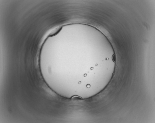 X0000113750912200910141023