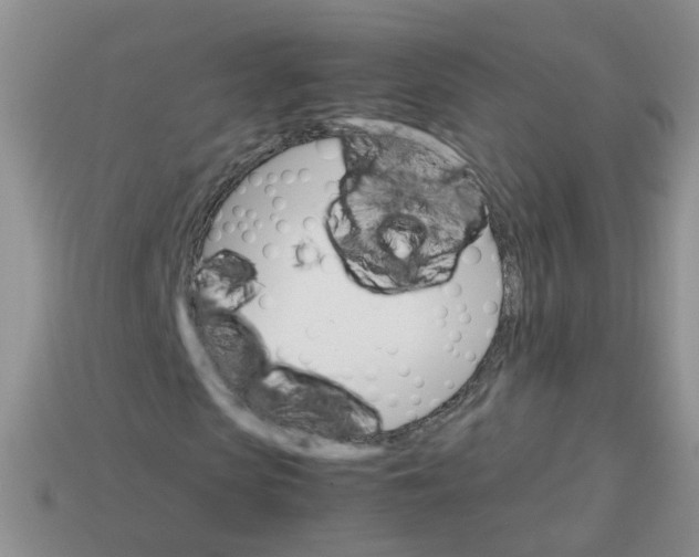 X0000113750913200910141022