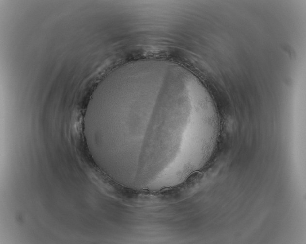 X0000113750914200910141022