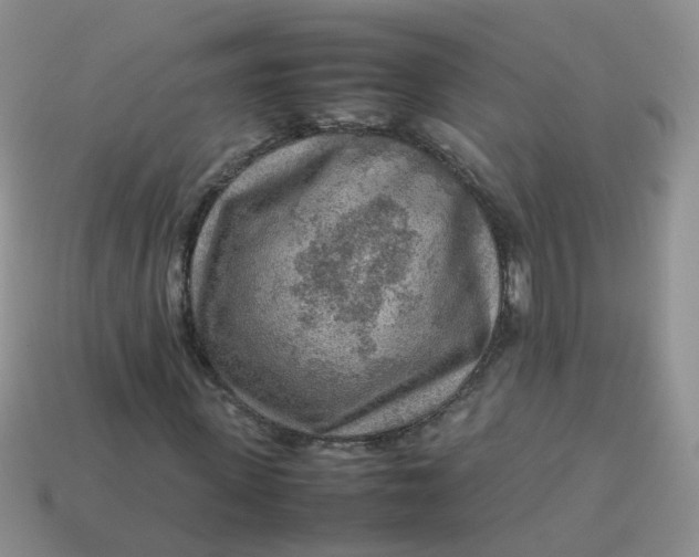 X0000113750915200910141022