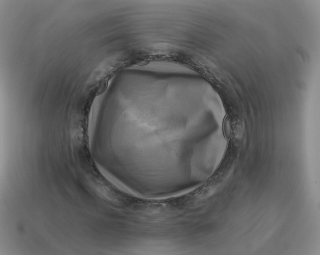 X0000113750916200910141022