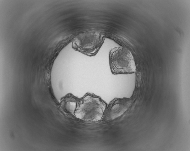 X0000113750917200910141022