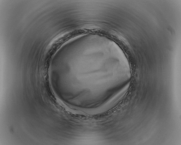 X0000113750920200910141022