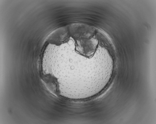 X0000113750921200910141022